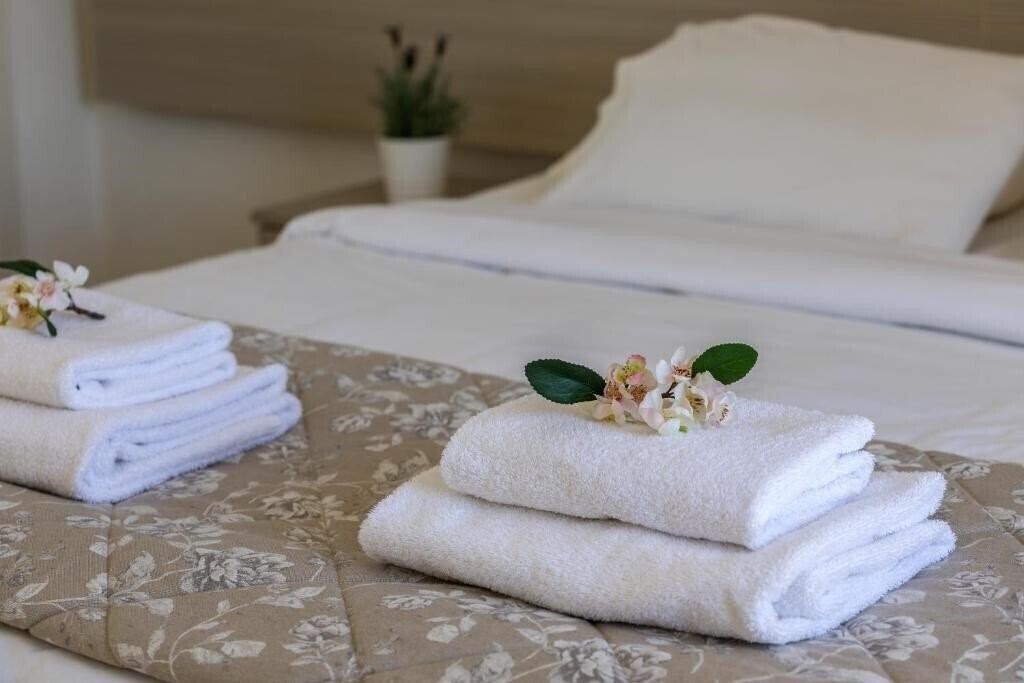 Imaginea Cactus Hotel 2*