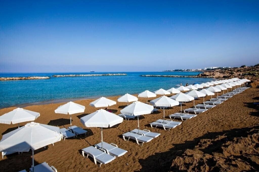 Картинка Venus Beach 5*