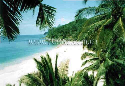 Фото Villa Rose вилла