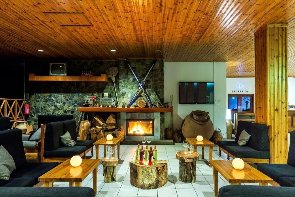 Imaginea Troodos Hotel 3*