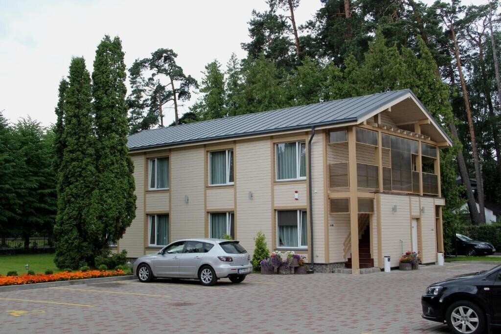 Imaginea Dzintara 3*