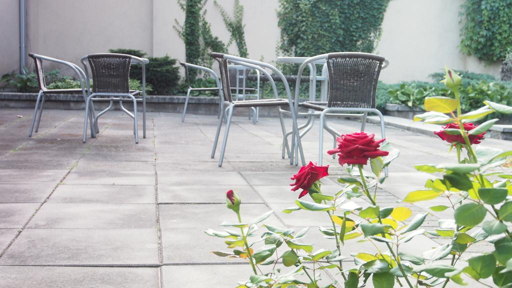 Fotografie Telecom Guest 3*