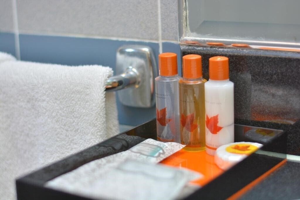 Hotel The Maple Suite 3*