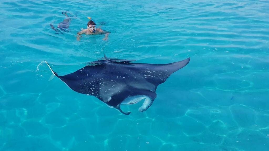 Hotel Ari Villa Sea View Guest House вилла