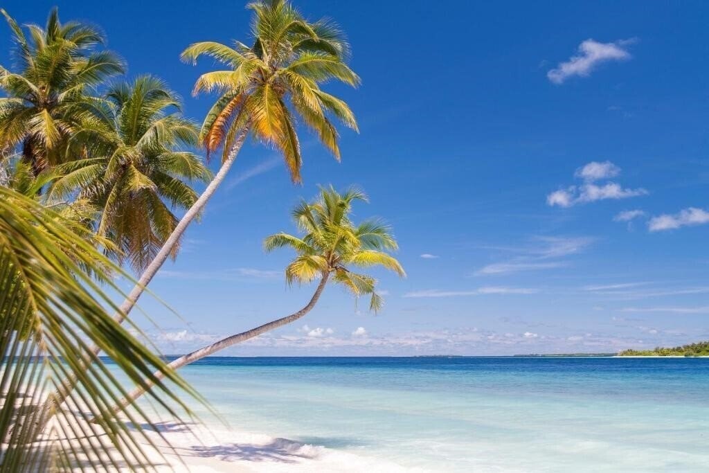 Imaginea Dhonfulhafi Beach View & Spa Guest House гостиный двор