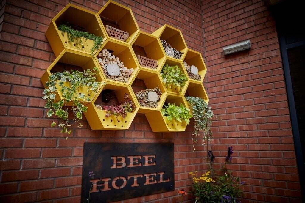 Imaginea Fushifaru Maldives 5*