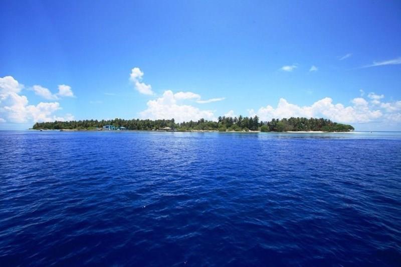 Imaginea Plumeria Boutique Guest House 4*