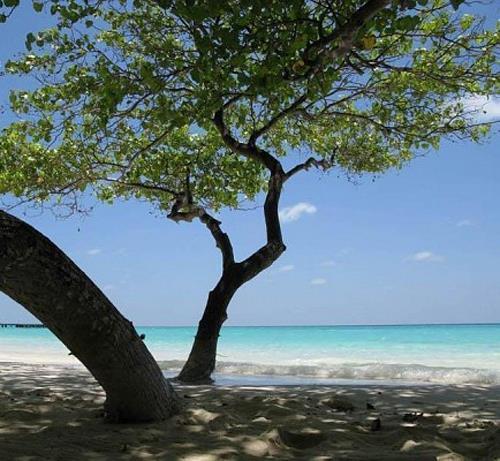 Отель Thulhaagiri Tourist Resort 4*