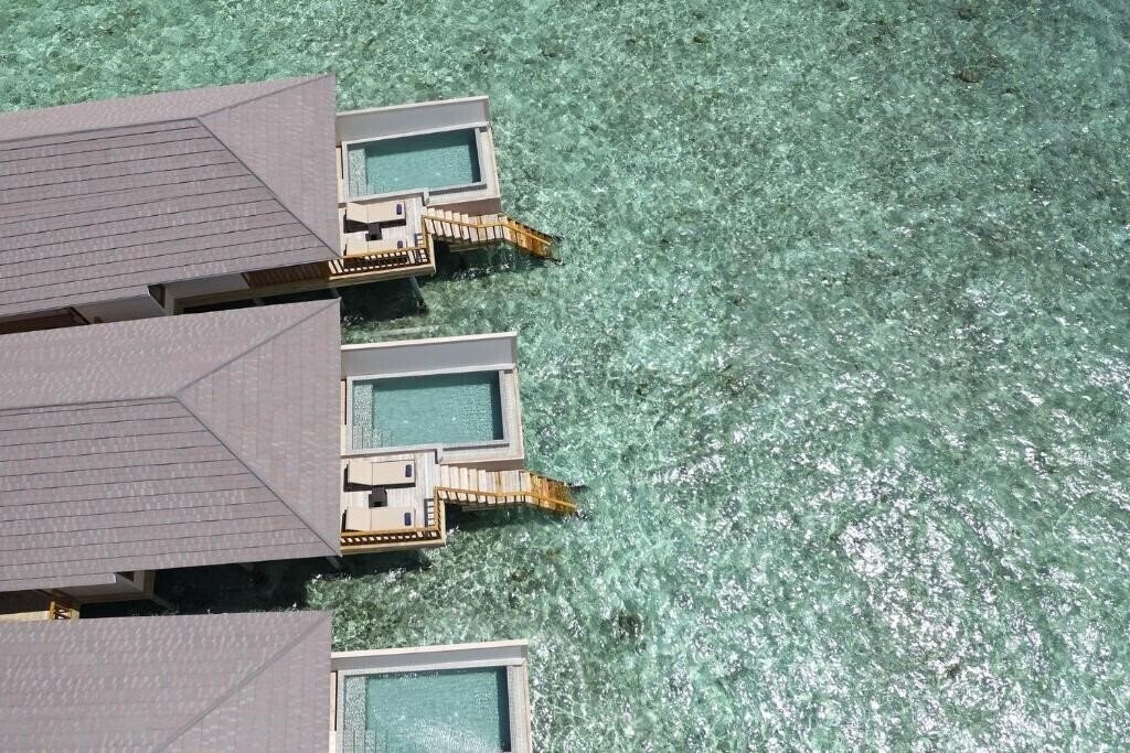 Картинка Brennia Kottefaru 5*