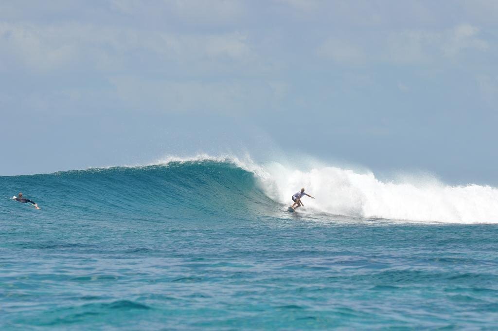 Изображение Palm Lodge Guest House 1*