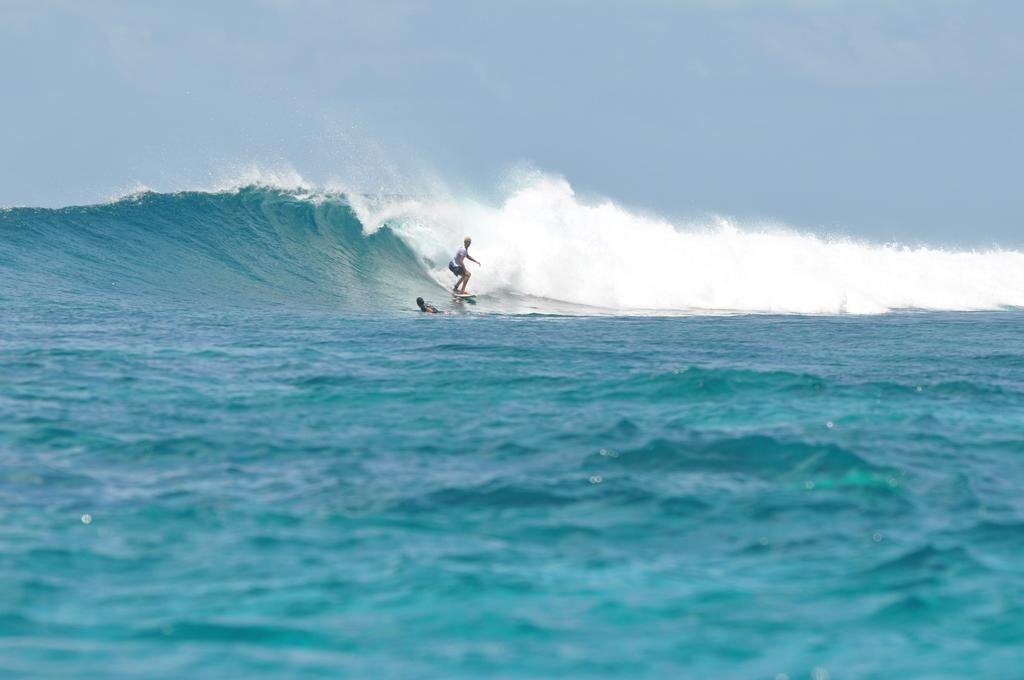 Картинка Palm Lodge Guest House 1*