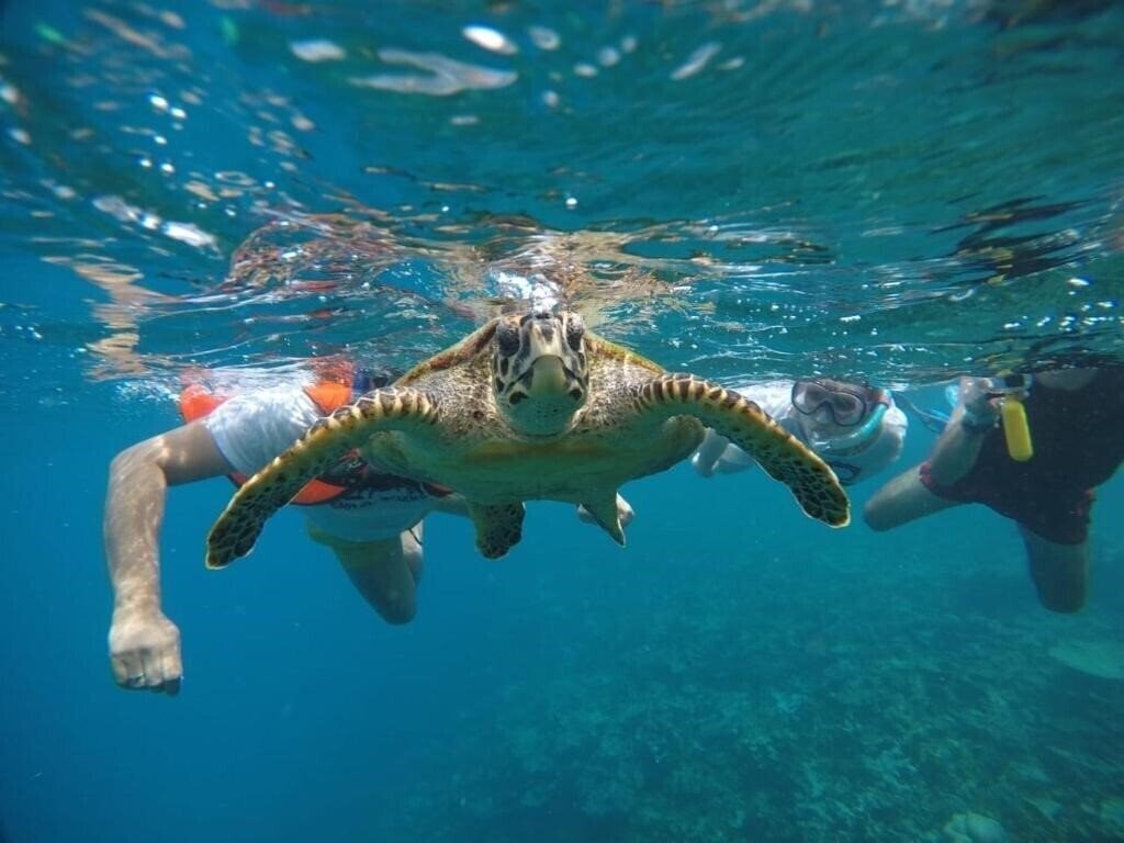 Fotografie Iris Beach Residence 3*