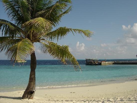 Imaginea Nakai Dhiggiri Resort 4*