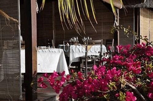 Fotografie The Bay 3*