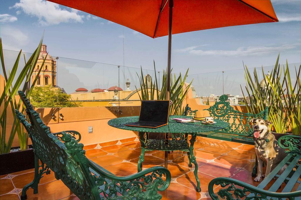 Фотография Hotel Templo Mayor 3*