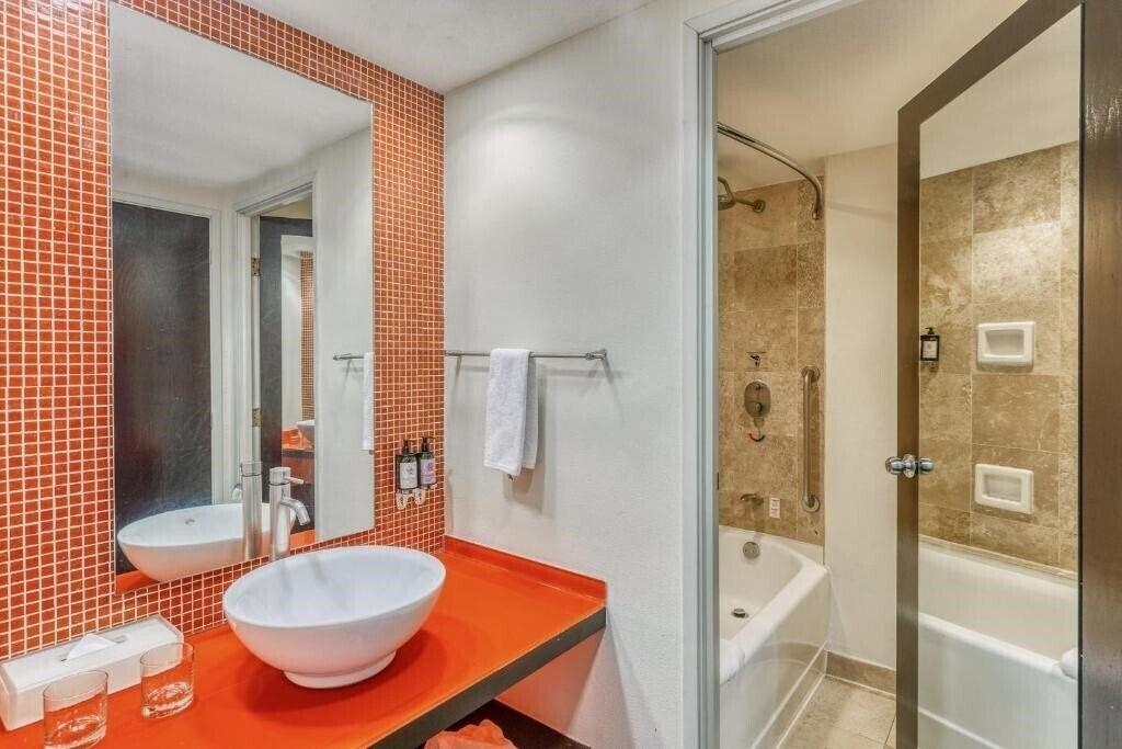 Fotografii Fiesta Inn Centro Historico 4*