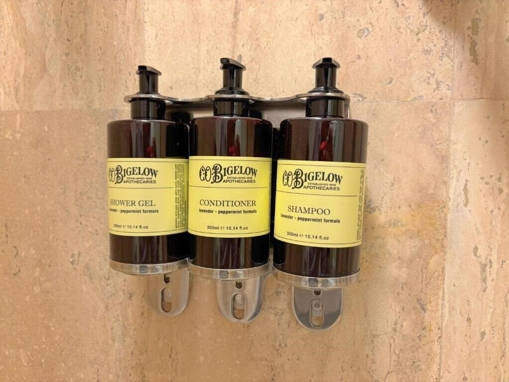 Imaginea Fiesta Americana Reforma 5*