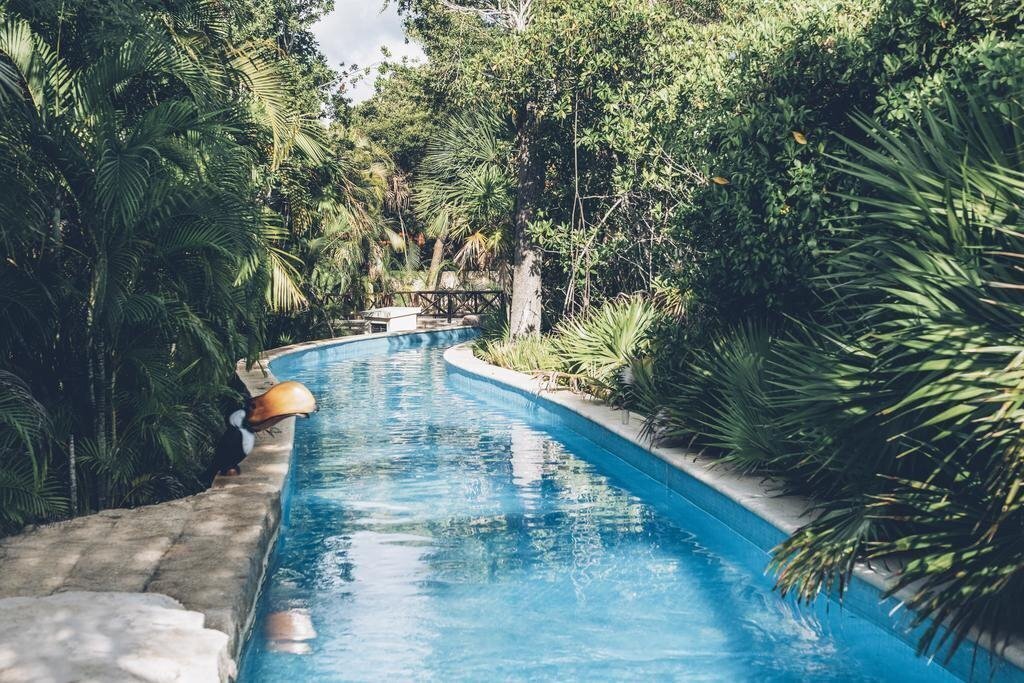 Imaginea Iberostar Selection Paraiso Maya 5*