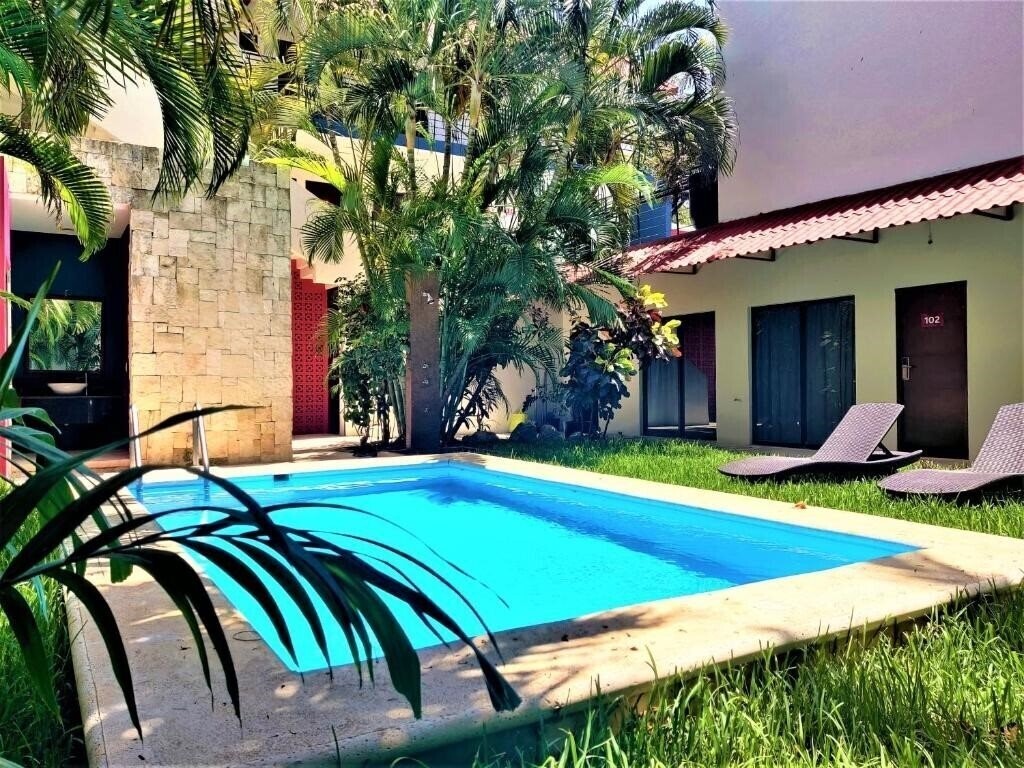 Fotografii Mariachi by Kavia 4*