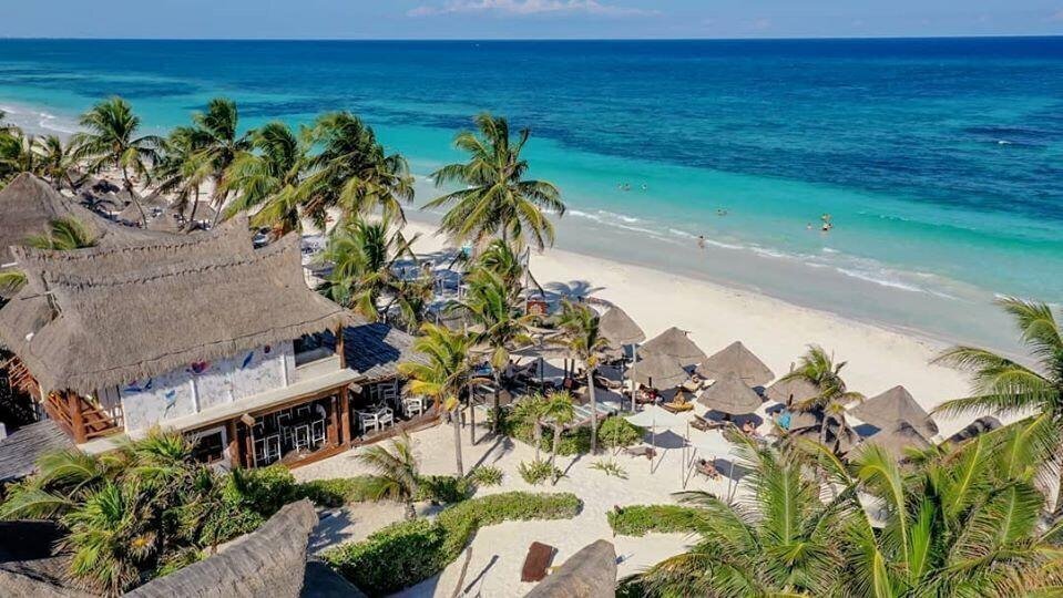 Fotografii Alma De Flores 3*