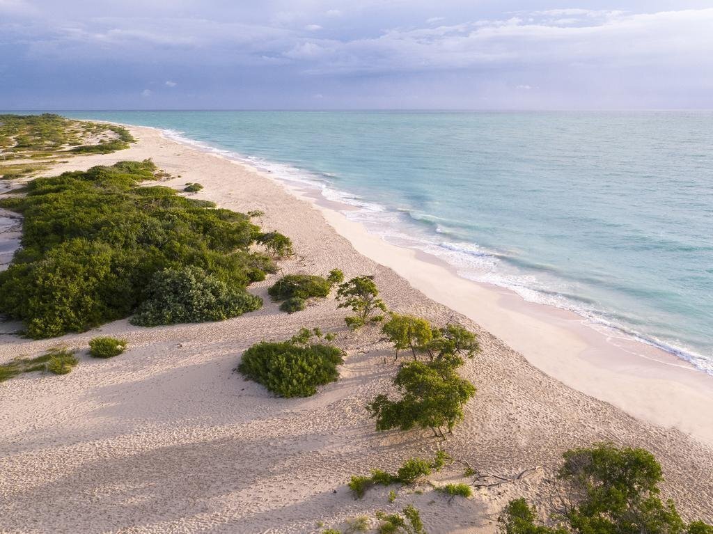 Fotografii Trs Coral 5*