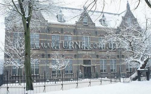 Фотография College 4*