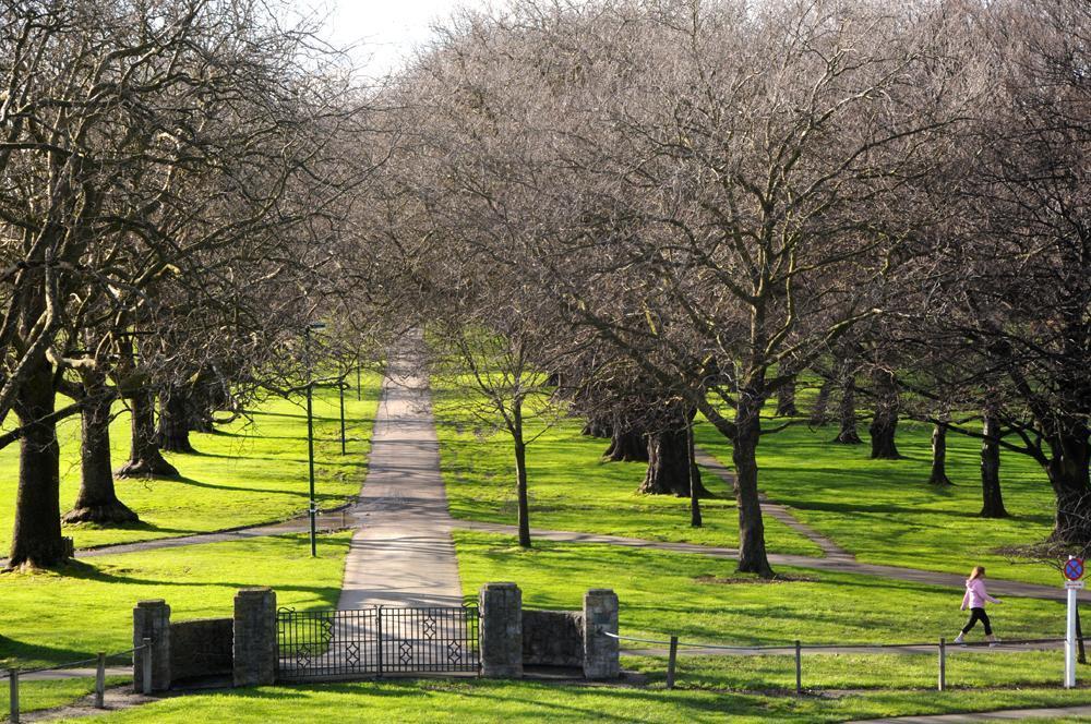 Imaginea Parkview On Hagley 4*