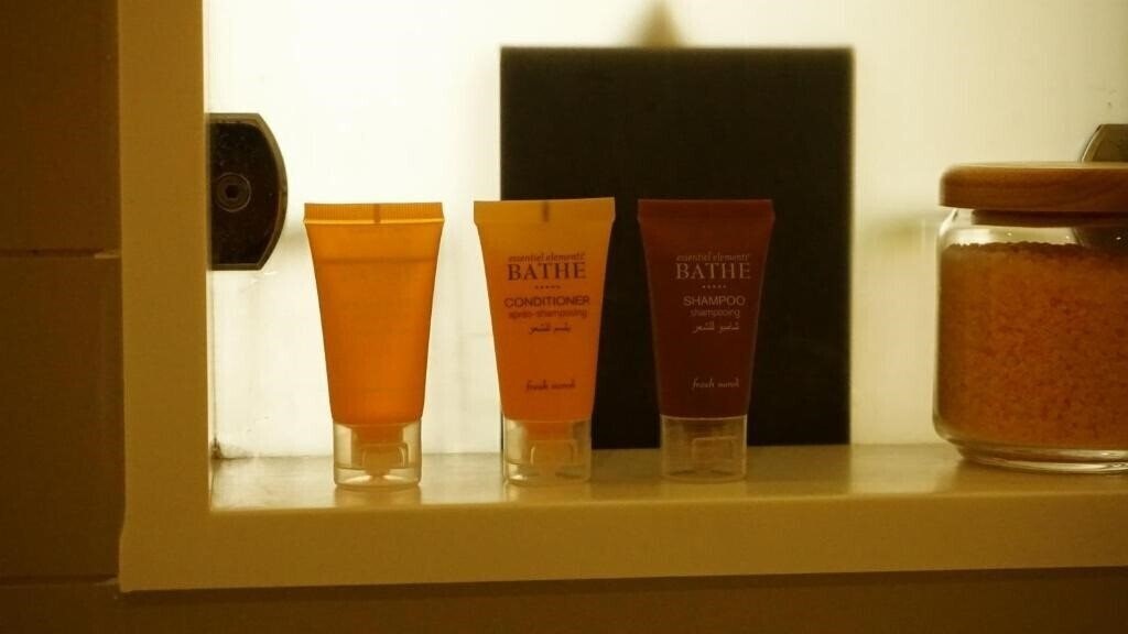 Fotografie Copthorne Airport Hotel Dubai 3*