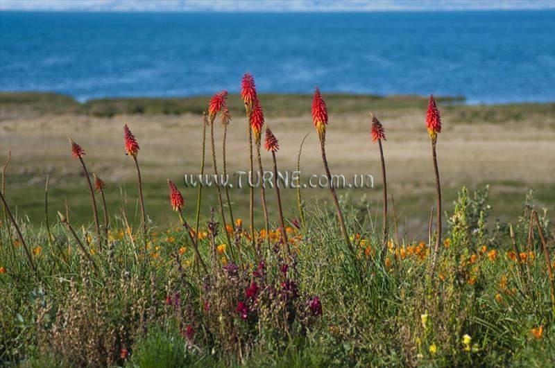 Отель Taypikala Lago 4*