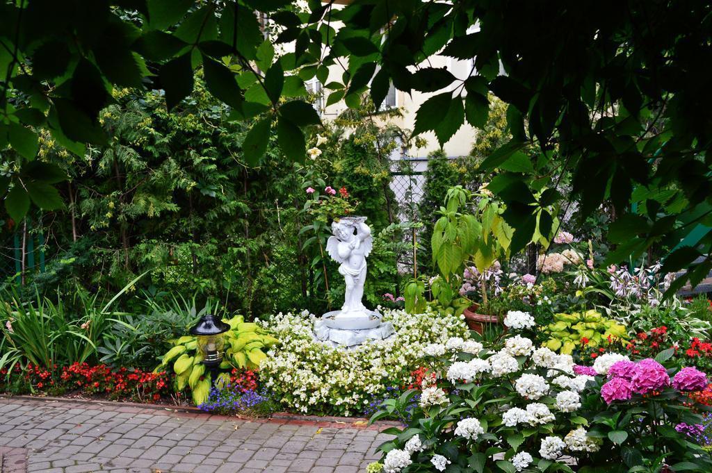 Fotografie Monika 2*