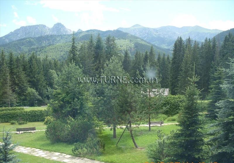 Картинка Siwarna 2*