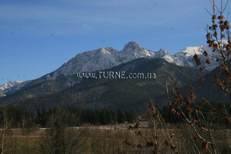 Fotografii U Guta 1*