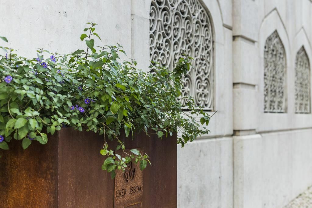 Изображение Ever Lisboa City Center Hotel 3*