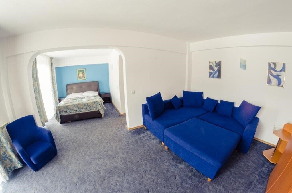 Fotografii Cabana Trei Brazi 3*