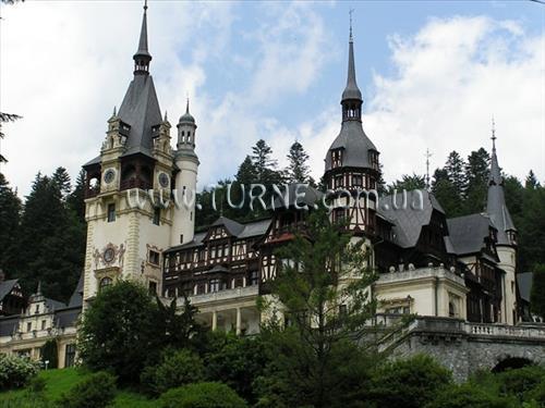 Изображение Serban 3*