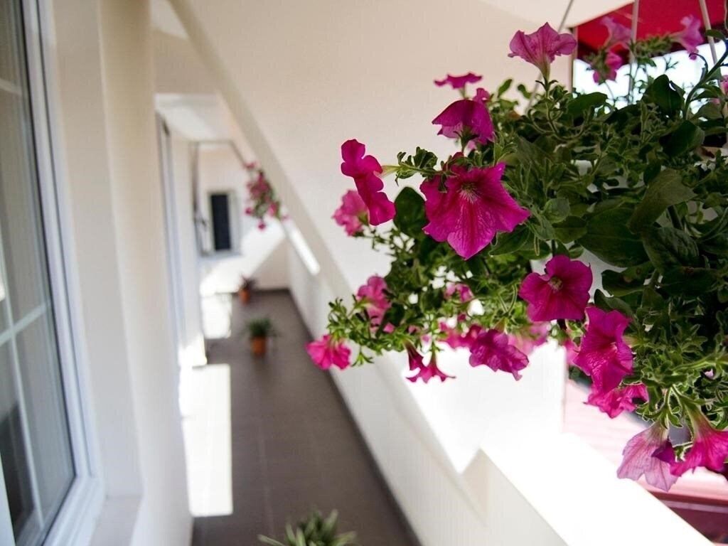 Картинка Tranzzit Hotel 3*