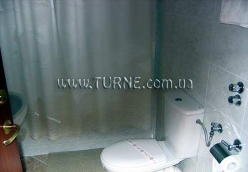 Fotografii Bradul 4*