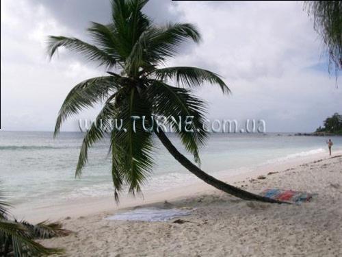 Fotografie Villa Mon Reve вилла