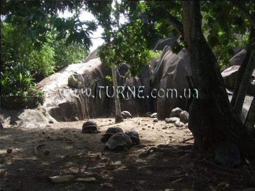 Fotografii Villa Mon Reve вилла