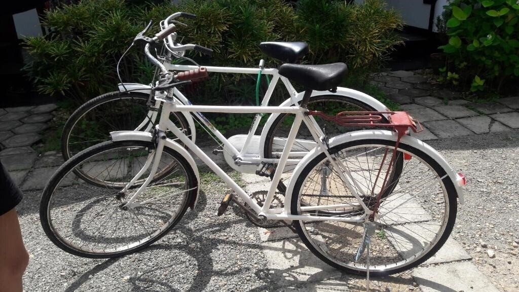 Imaginea Anara Villa 3*