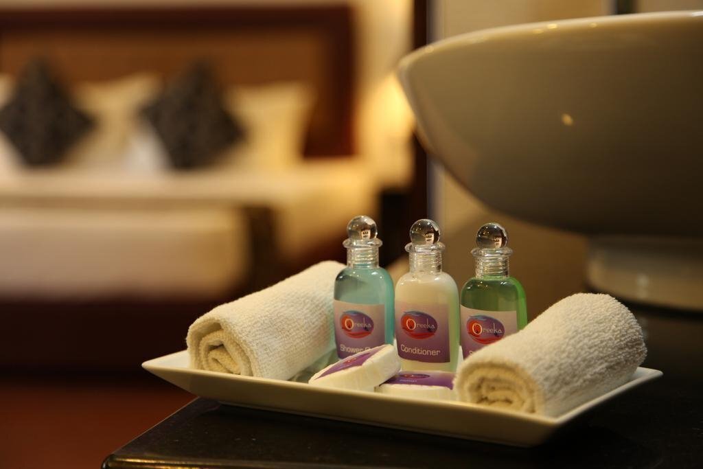 Изображение Oreeka Hotel 3*