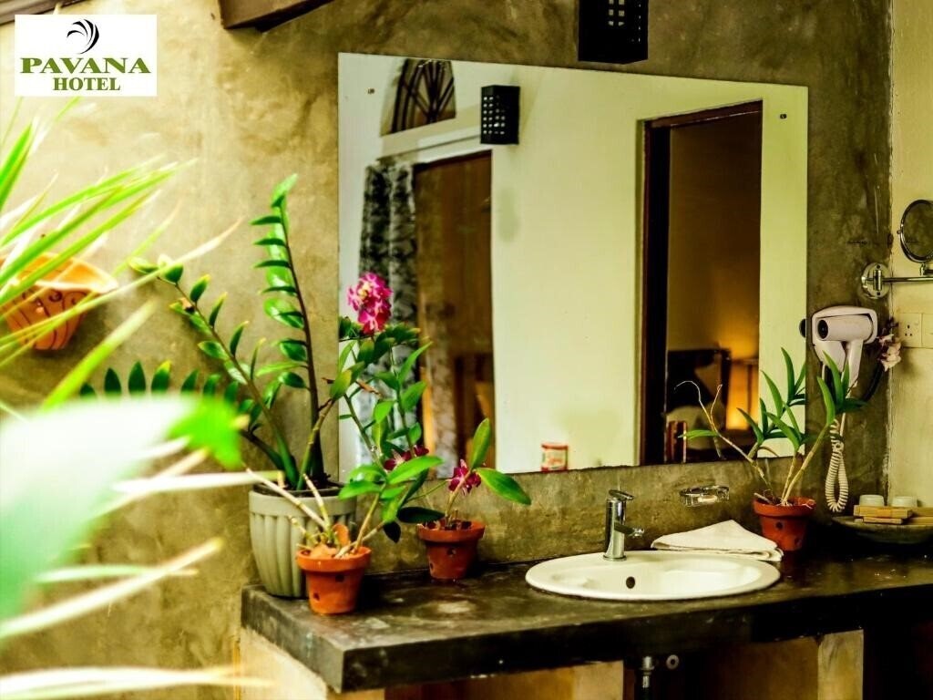 Фото Hotel Pavana 3*