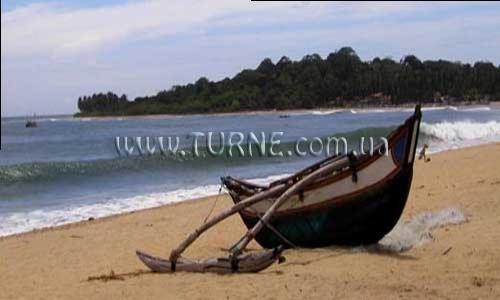 Отель The Tsunami Hotel 1*