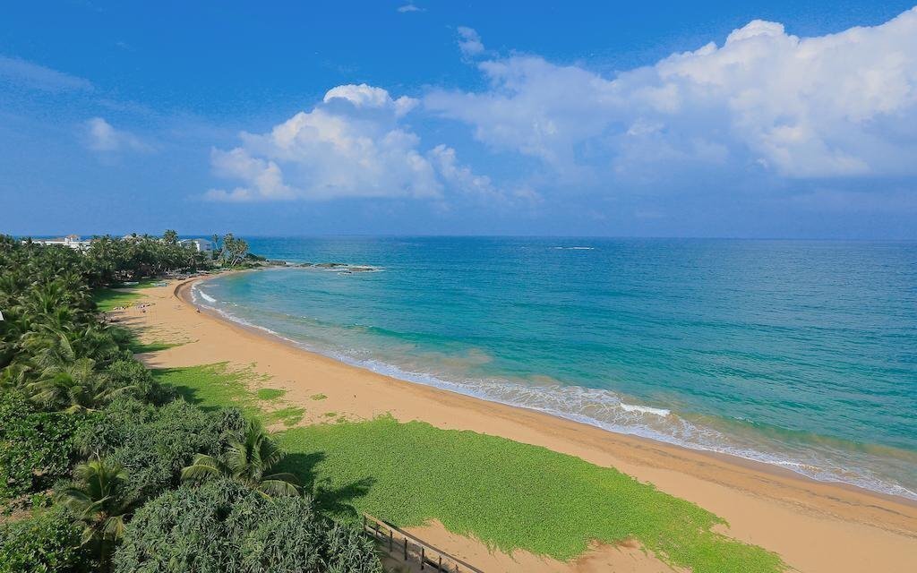 Fotografii Pandanus 4*
