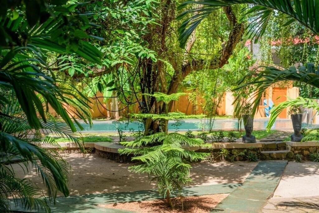 Imaginea Monkey Villa 3*