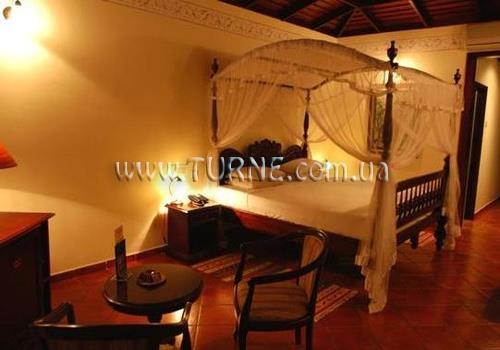 Imaginea Palm Village 3*