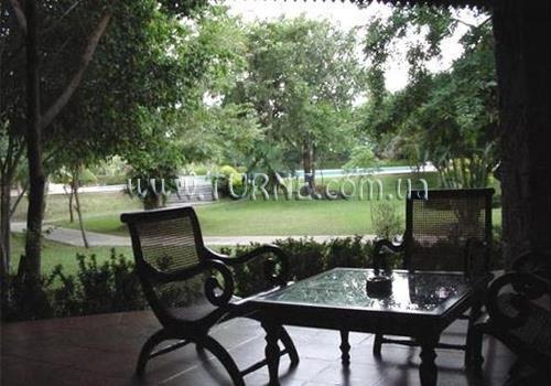 Imaginea Palm Village 3*