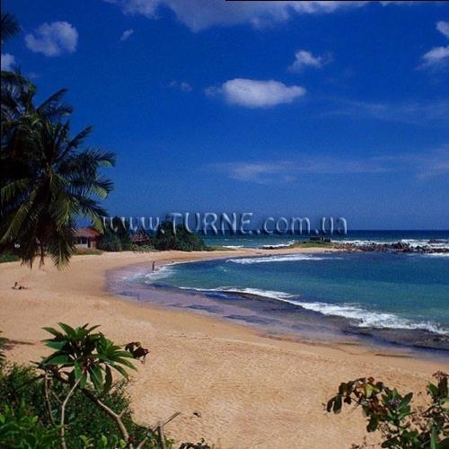 Imaginea Bingo 3* (Коломбо) 3*