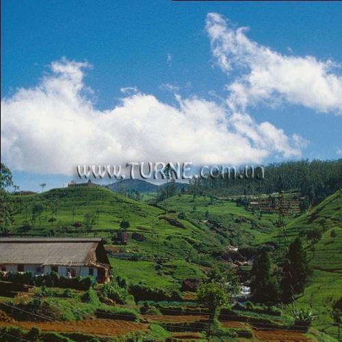 Hotel Bingo 3* (Коломбо) 3*