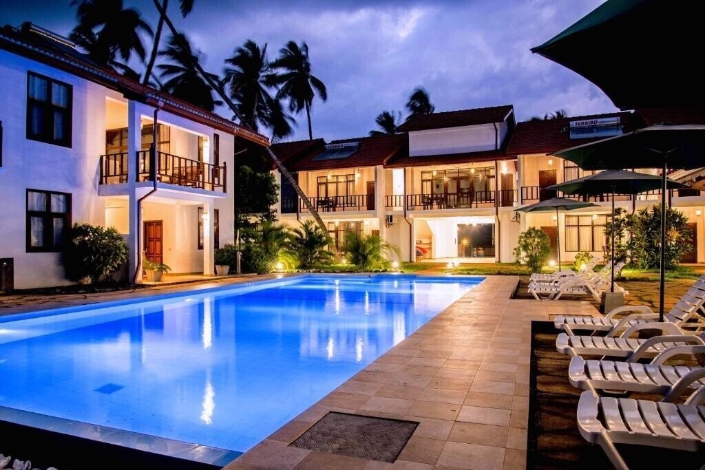 Фотография Green Parrot 4*